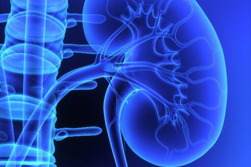 Nationwide Children Kidney and Urinary Tract Symposium State of the Art in Pediatric UTI 2025