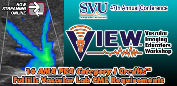 Vascular Imaging Educators Workshop (VIEW) 2025 (Videos)