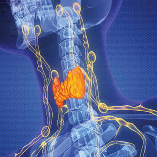 The Brigham Board Review and Comprehensive Update Endocrinology 2025